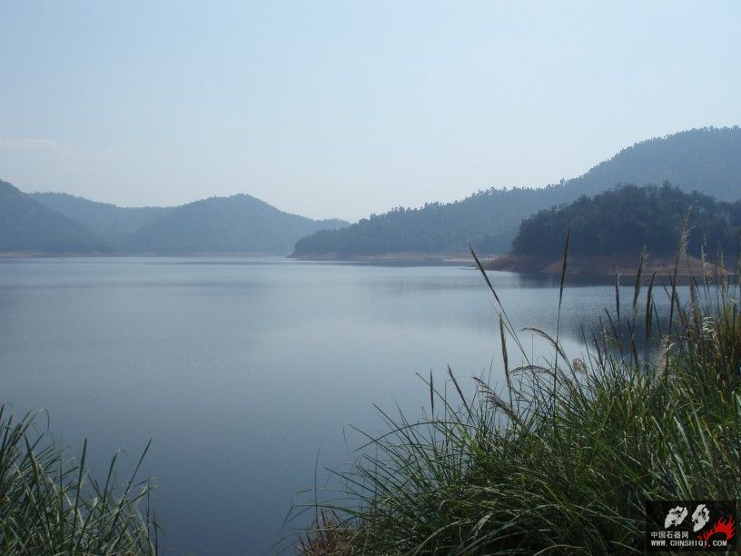 PB050375.JPG