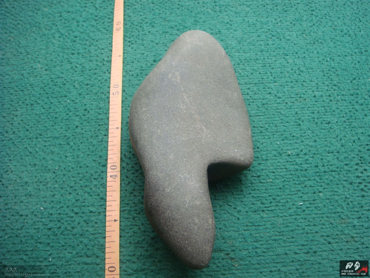 DSC09609.jpg