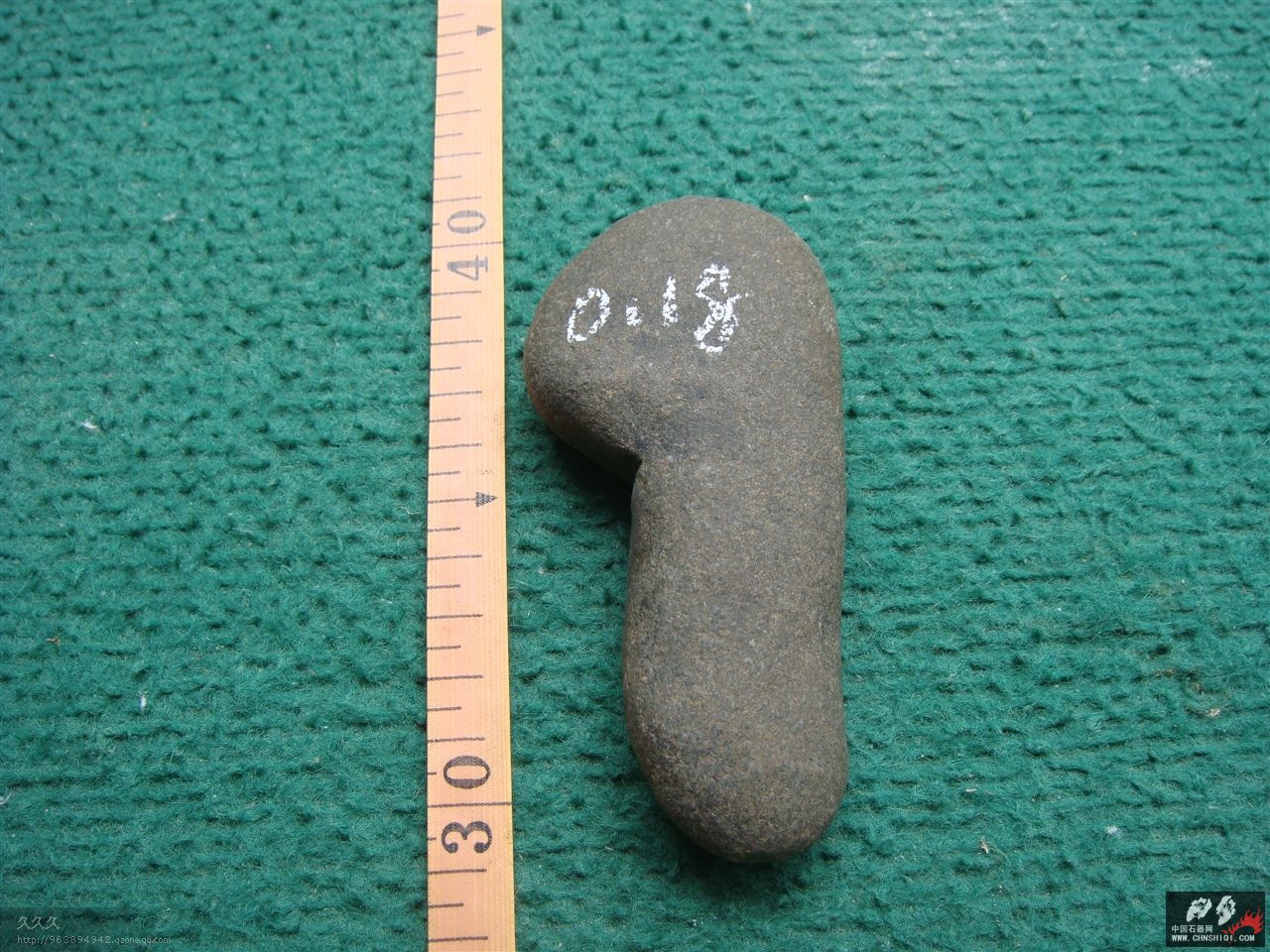 DSC09634.jpg