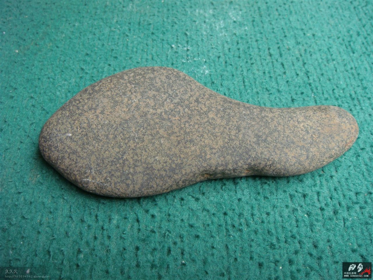 DSC09672.jpg