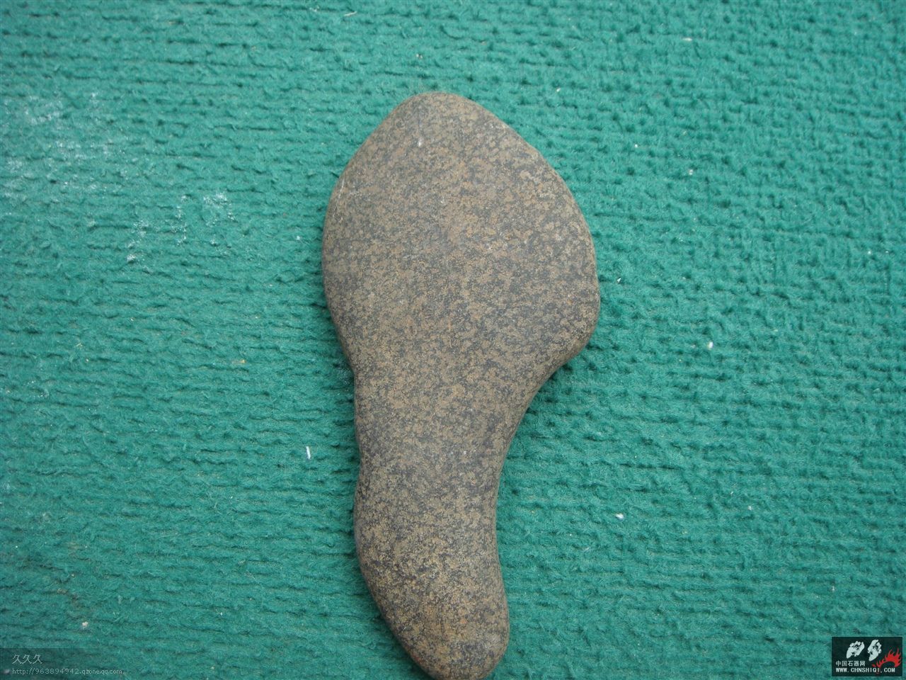 DSC09670.jpg