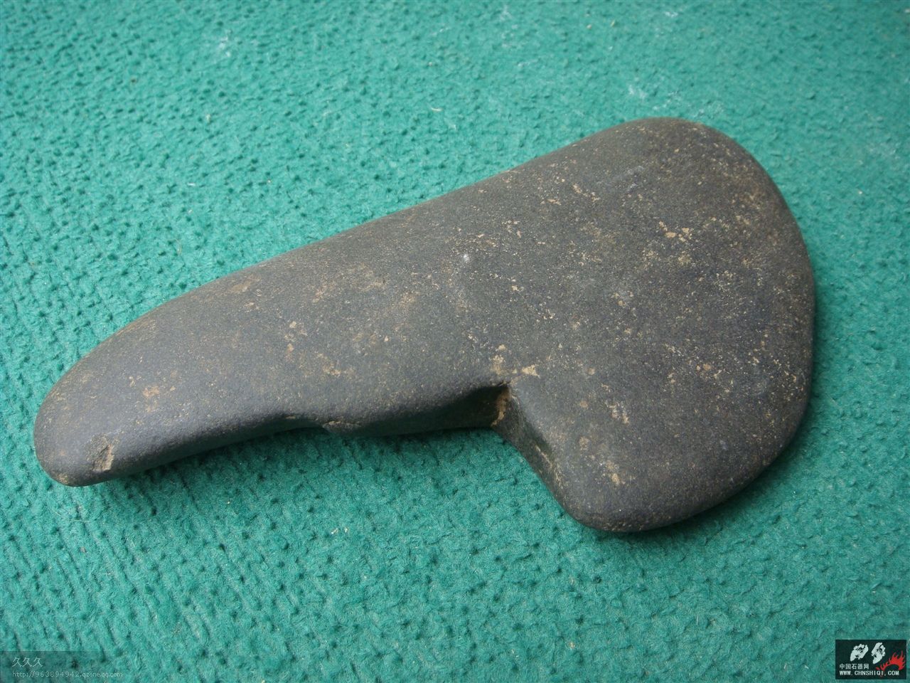 DSC09684.jpg