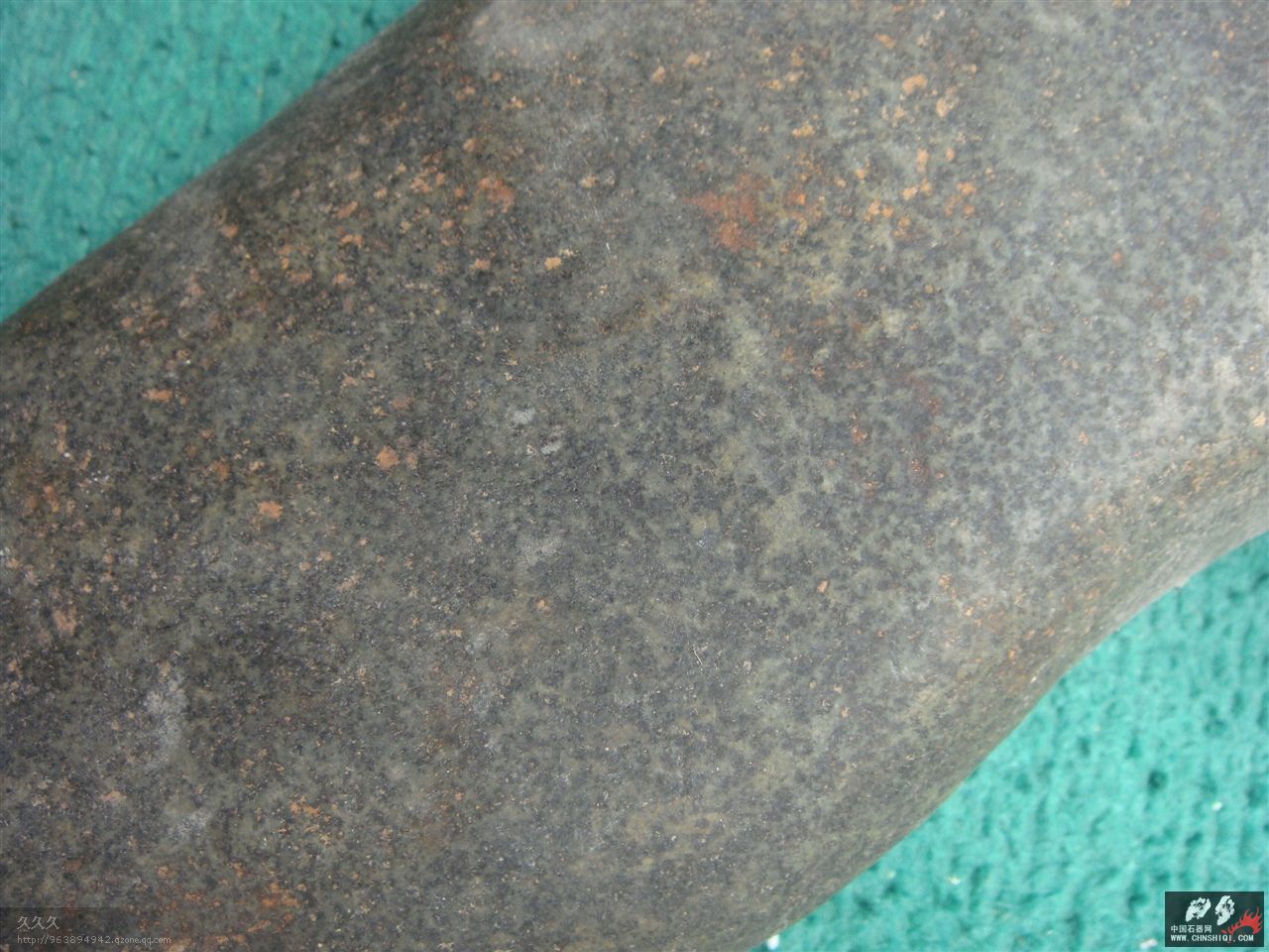 DSC09772.jpg