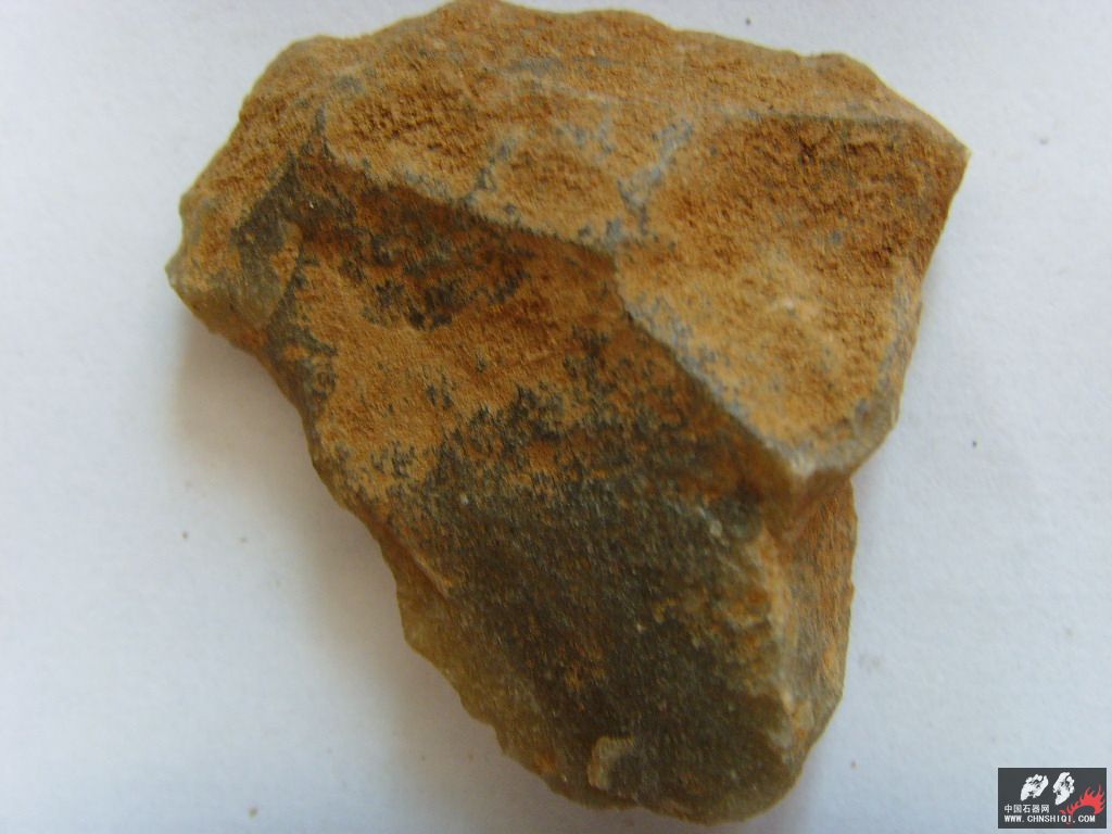 SSL22273.JPG