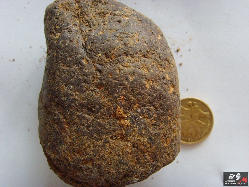 SSL22278.JPG