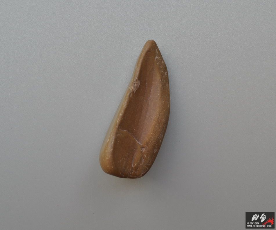 DSC_0024.jpg