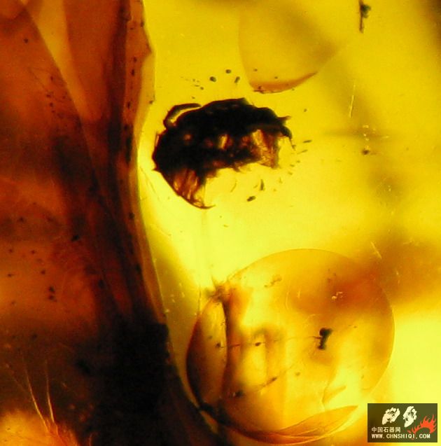照片 585.JPG