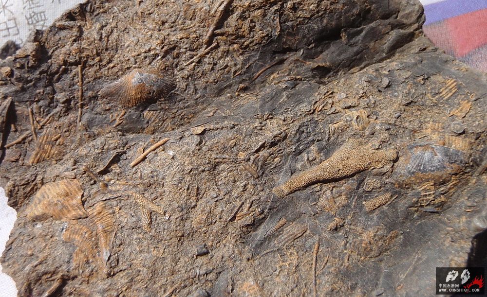 P2201779.jpg