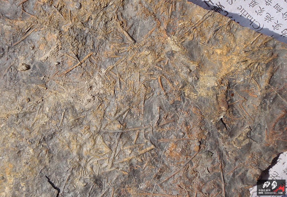 P2201792.jpg