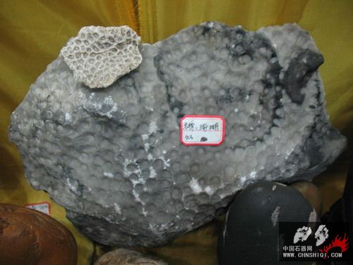 照片 008.jpg