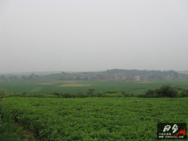 IMG_1538.JPG