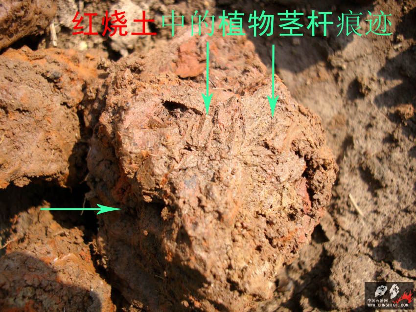 DSC04103 拷贝.jpg