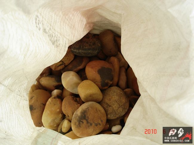 DSC04900.JPG