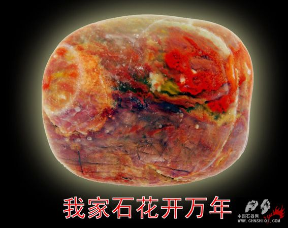 DSC02165 拷贝4444.jpg