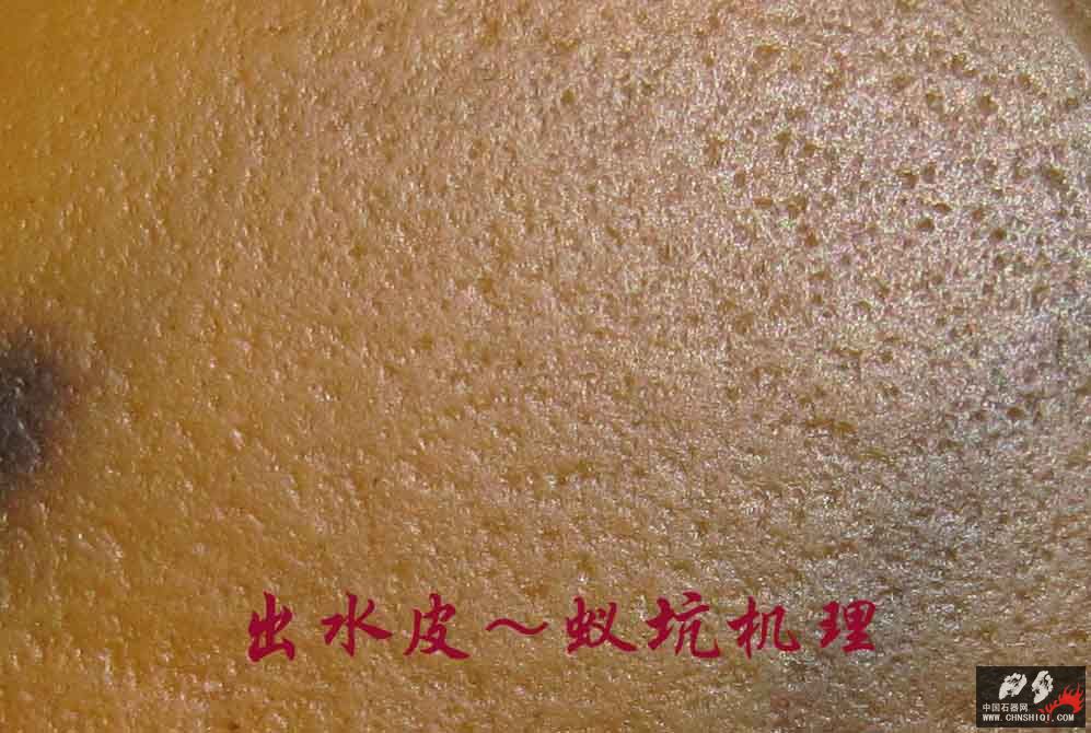 史前54.jpg