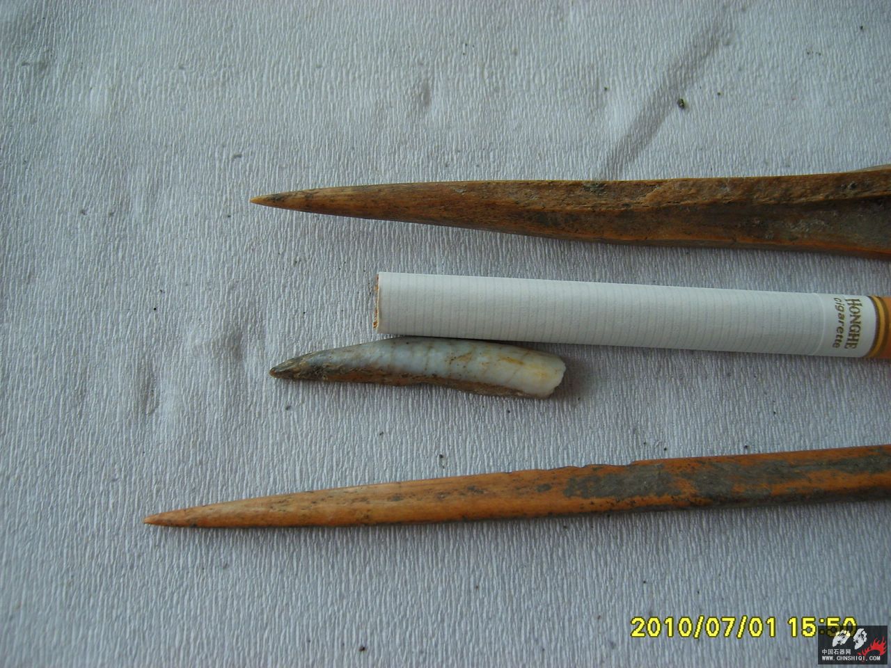 S6000686.JPG