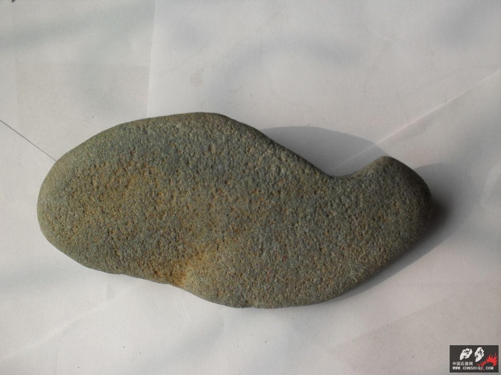 SDC10424.JPG