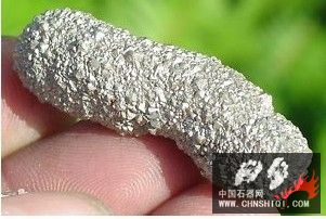 黄金白垩纪化石黄铁矿化粪化石粪亚拉巴马2.jpg