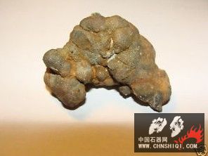 恐龙粪化石化石完整的标本3.jpg