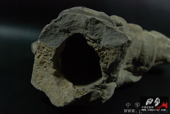 瑞兽5.jpg