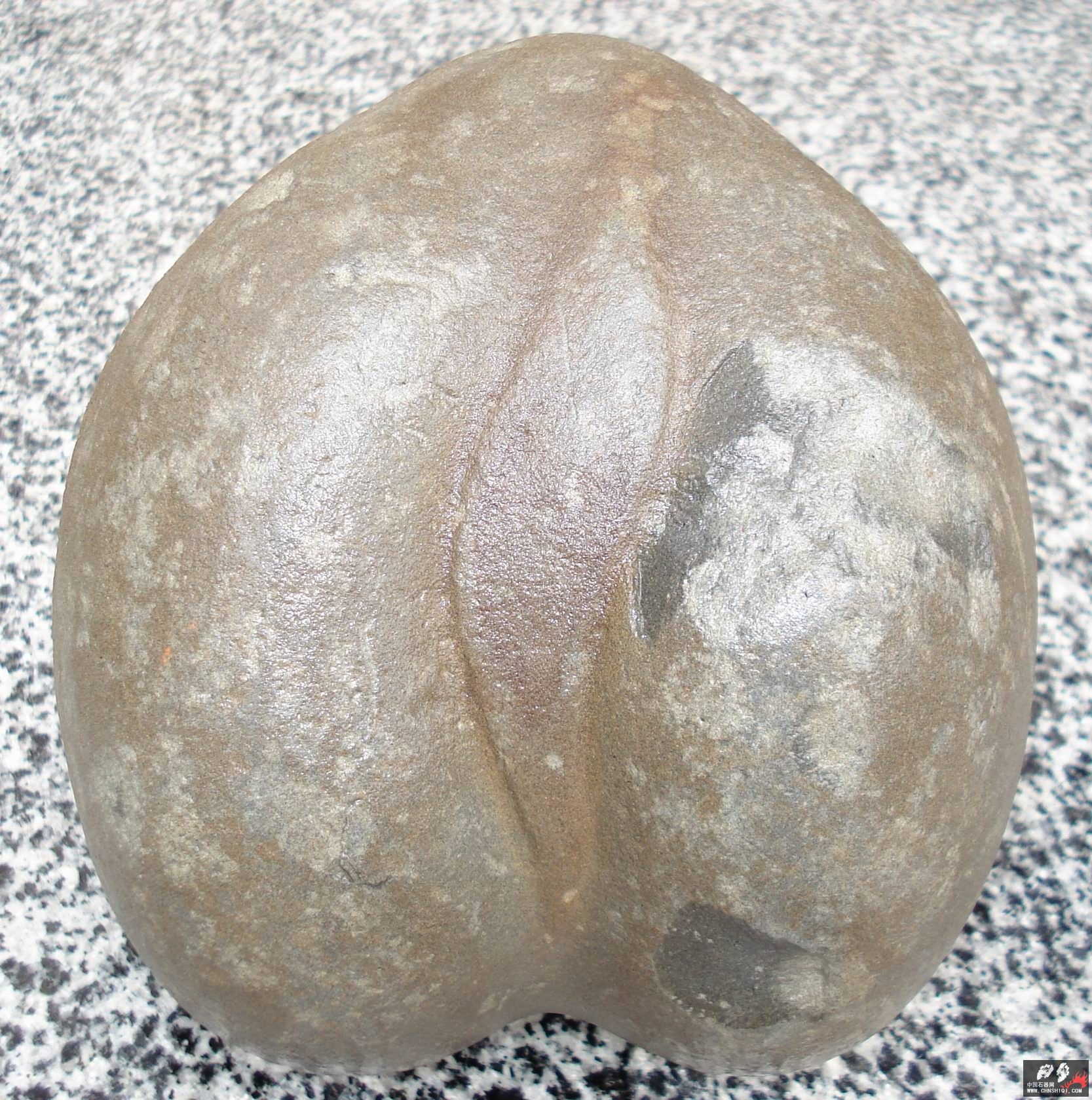 背面