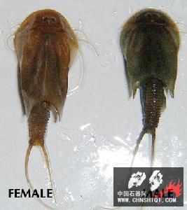 bd704260095c14e28cb10d16.jpg