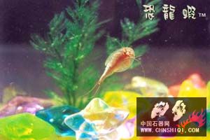 ae8267311c9a7c24eac4af2a.jpg