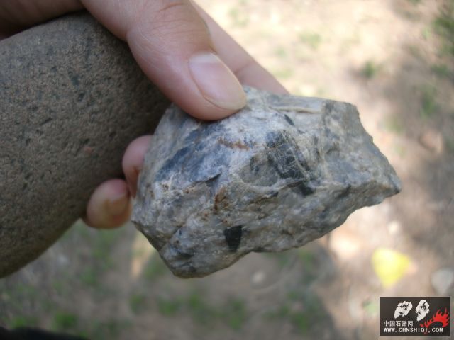 CIMG5244.JPG