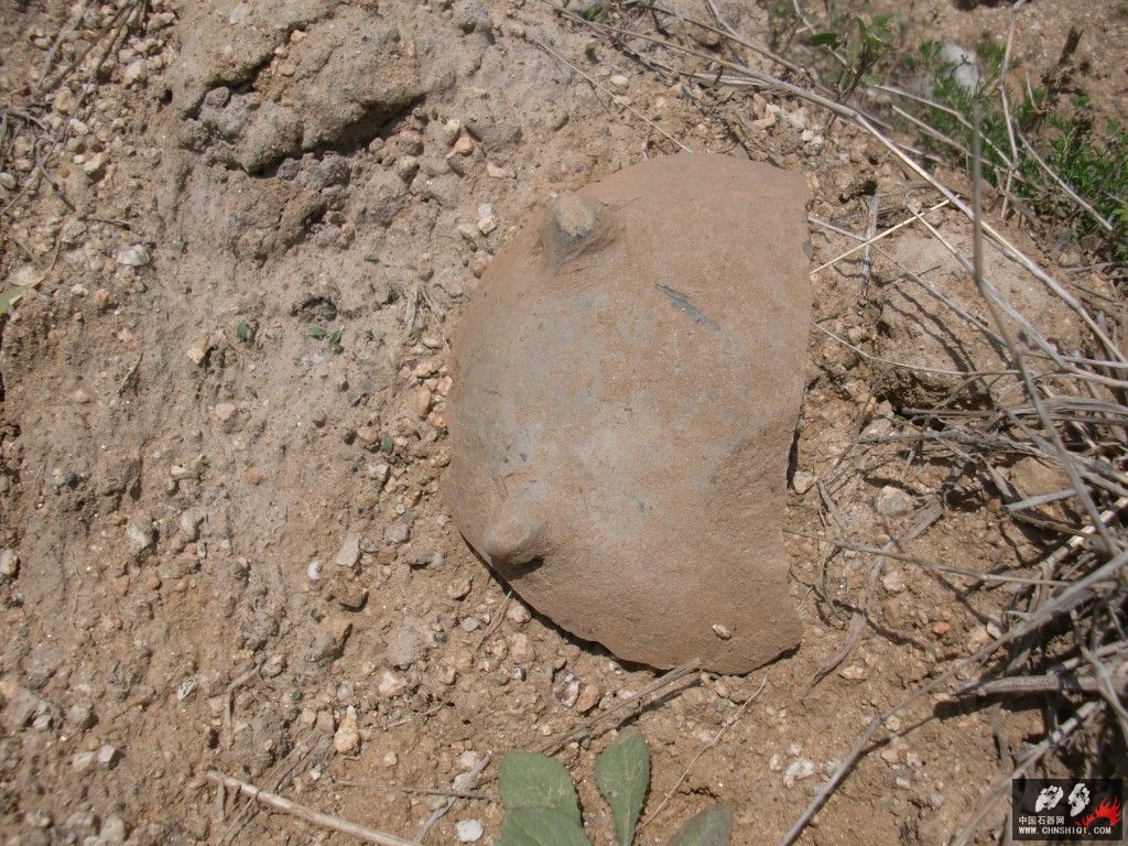 CIMG5291.JPG