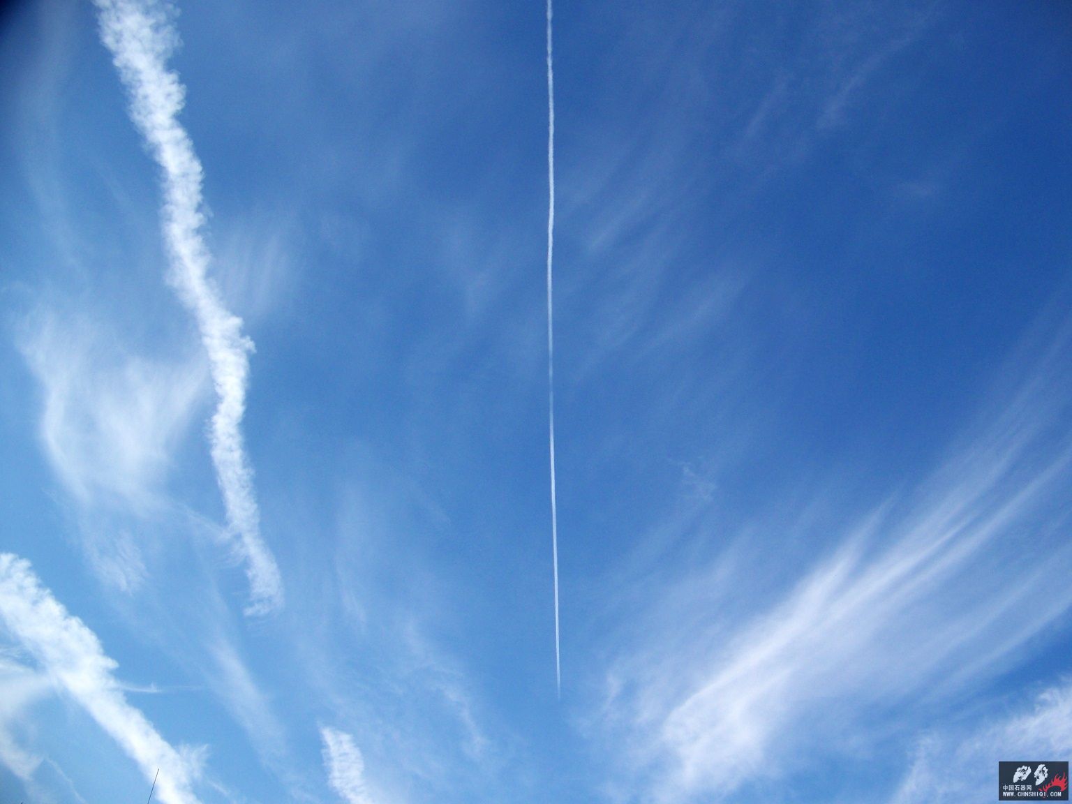 10-7标本b 004.jpg