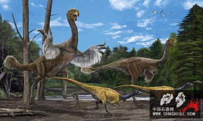 1251990078309-23龙.jpg