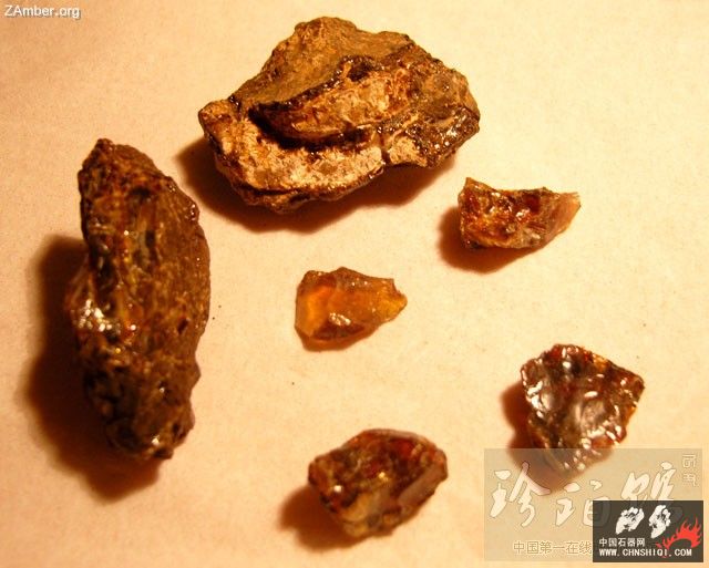 来自新产地的琥珀原矿1.jpg