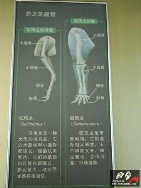 DSC02225.JPG