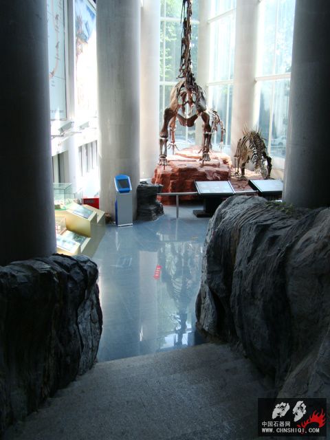DSC02237.JPG