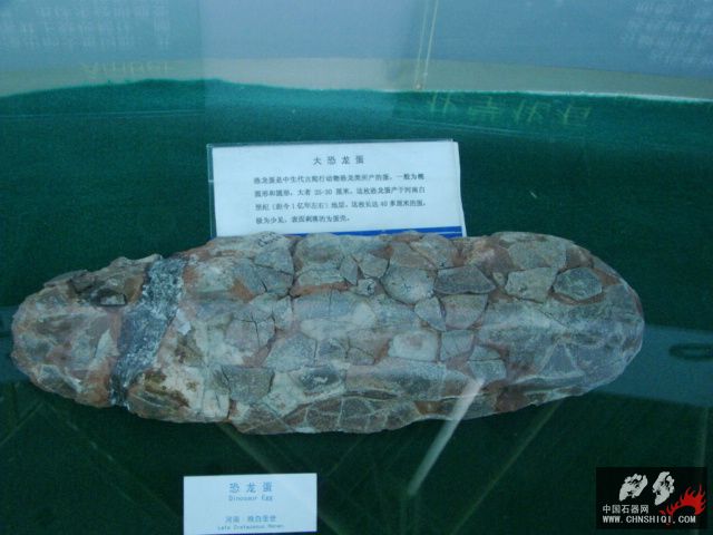 DSC02263.JPG