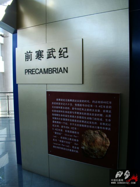 DSC02300.JPG