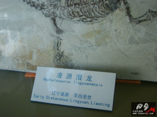 DSC02351.JPG