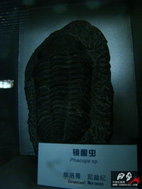 DSC02426.JPG