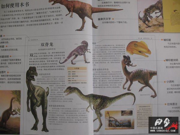 照片 015_缩小大小.jpg