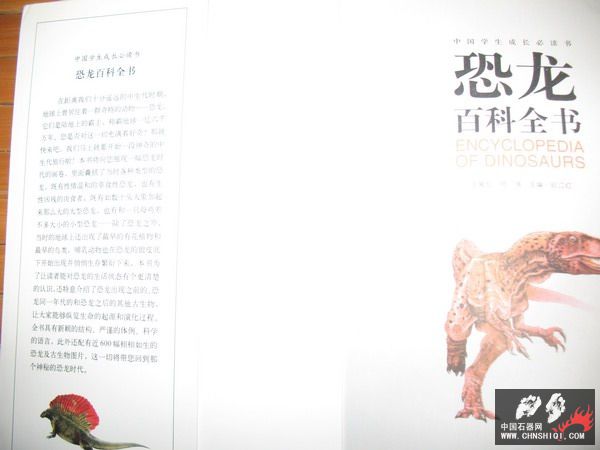 照片 011_缩小大小.jpg