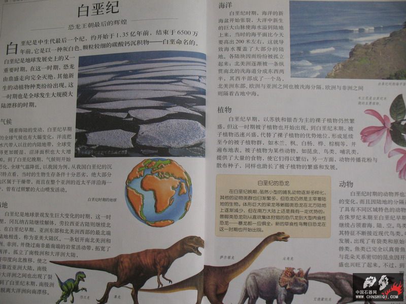 照片 020_缩小大小.jpg