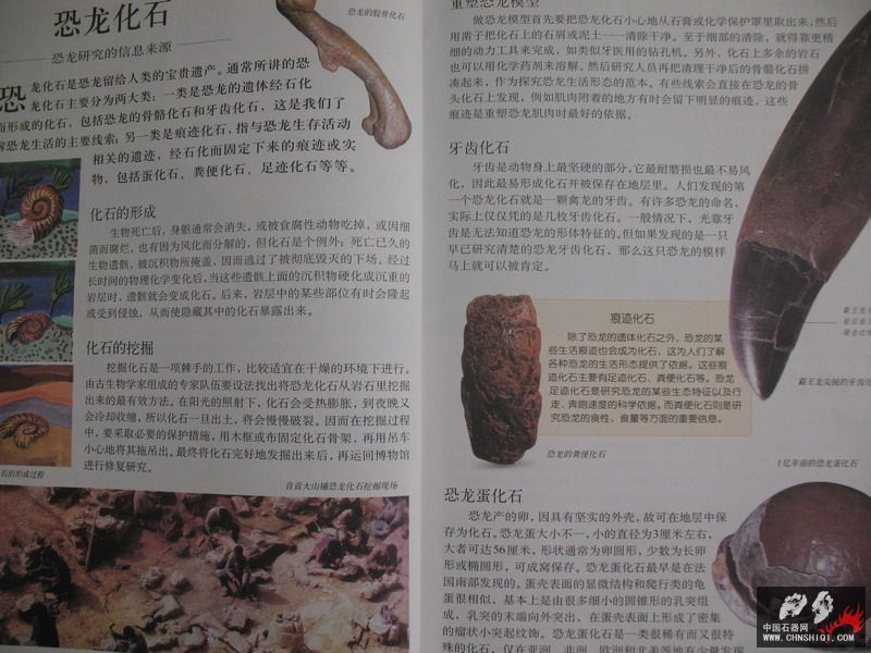 照片 022_缩小大小.jpg