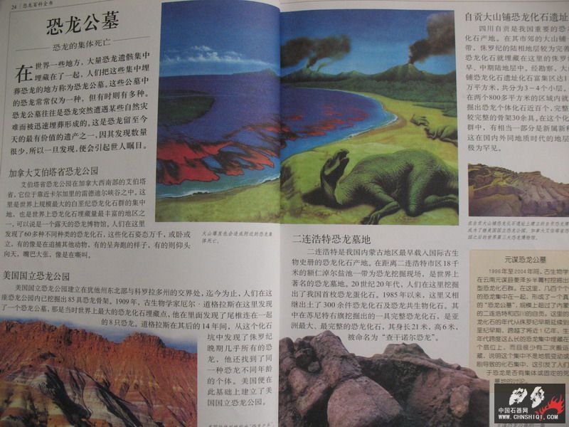 照片 023_缩小大小.jpg