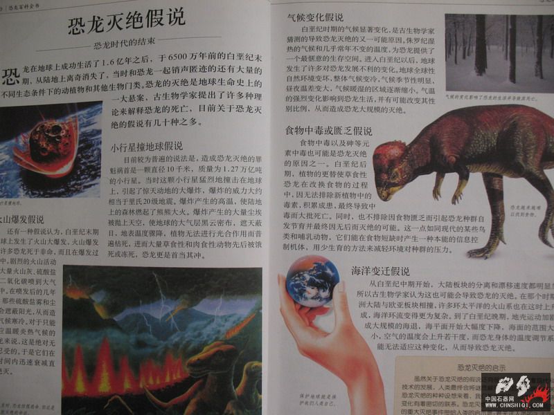 照片 021_缩小大小.jpg