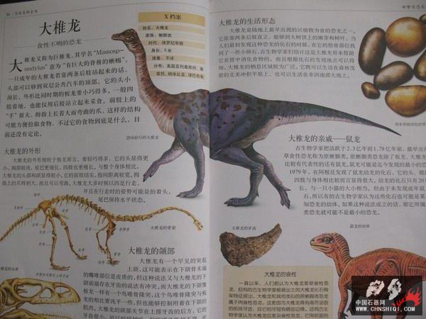 照片 026_缩小大小.jpg