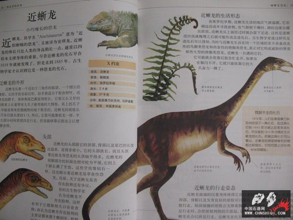 照片 027_缩小大小.jpg