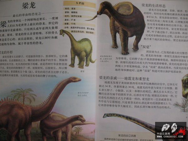 照片 028_缩小大小.jpg