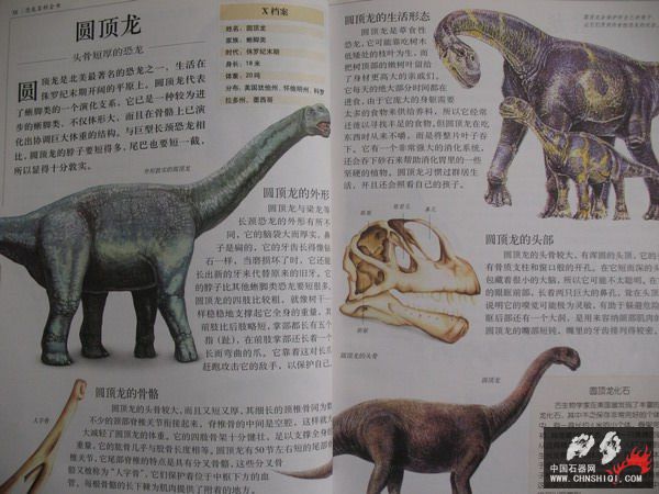 照片 029_缩小大小.jpg
