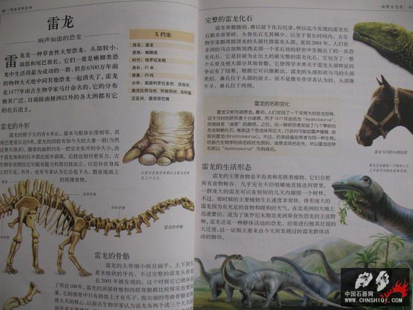 照片 030_缩小大小.jpg