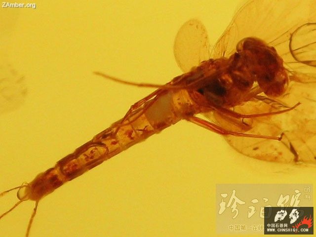 4_100205010602_2.jpg